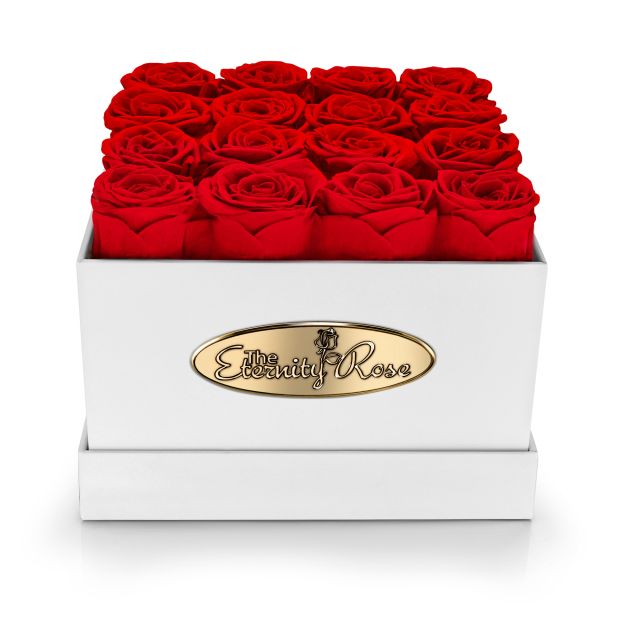 16 roses rouges stabilisées – coffret carré blanc